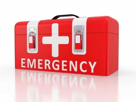 Pelatihan emergency response management