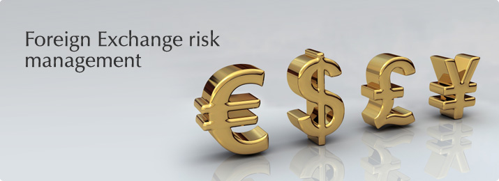 pelatihan Foreign Exchange Risk Management