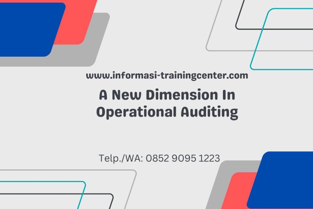 A New Dimension In Operational Auditing
